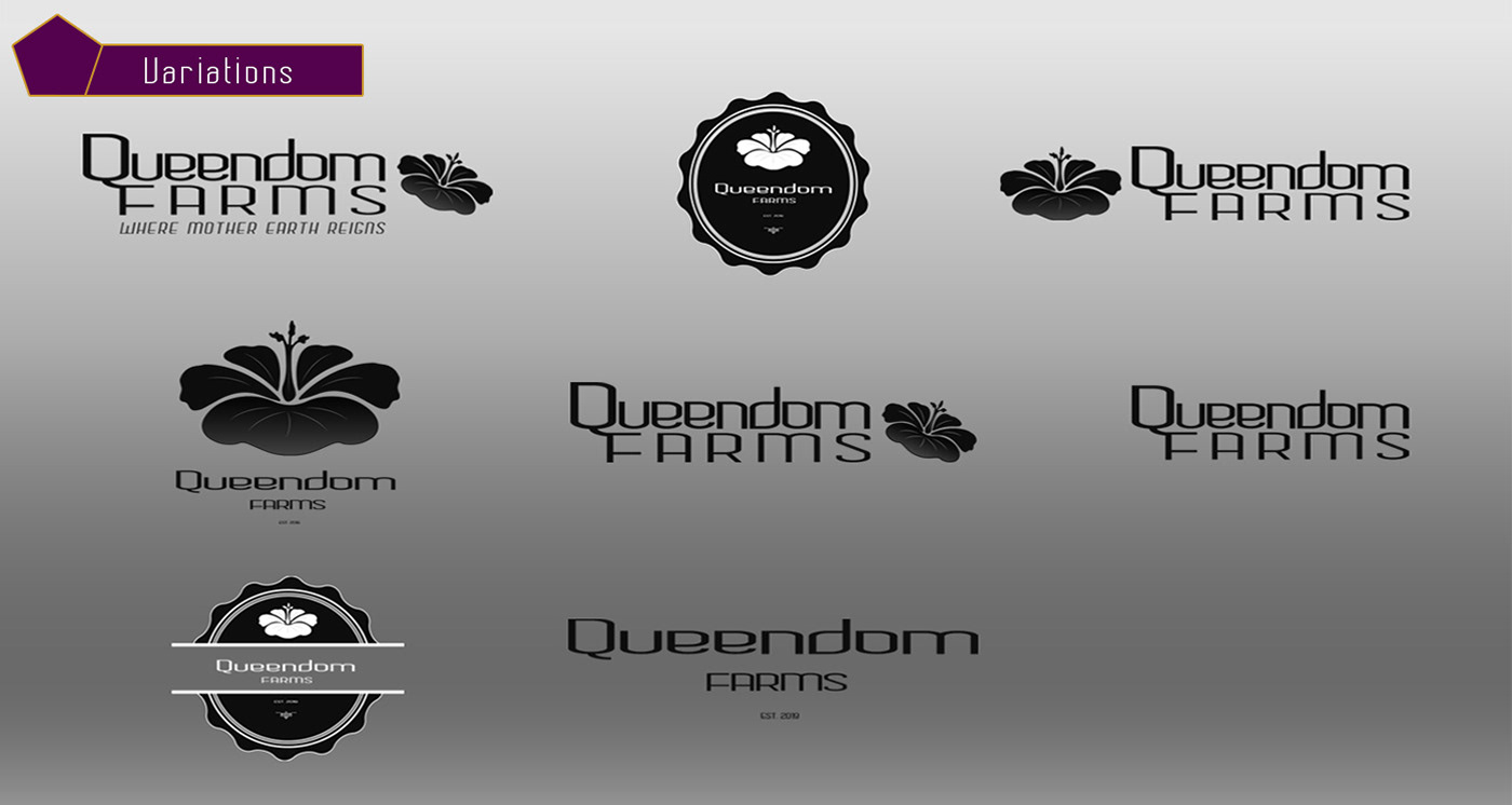Logo Variations